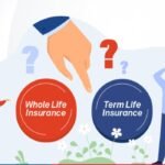 Term vs Whole Life Insurance